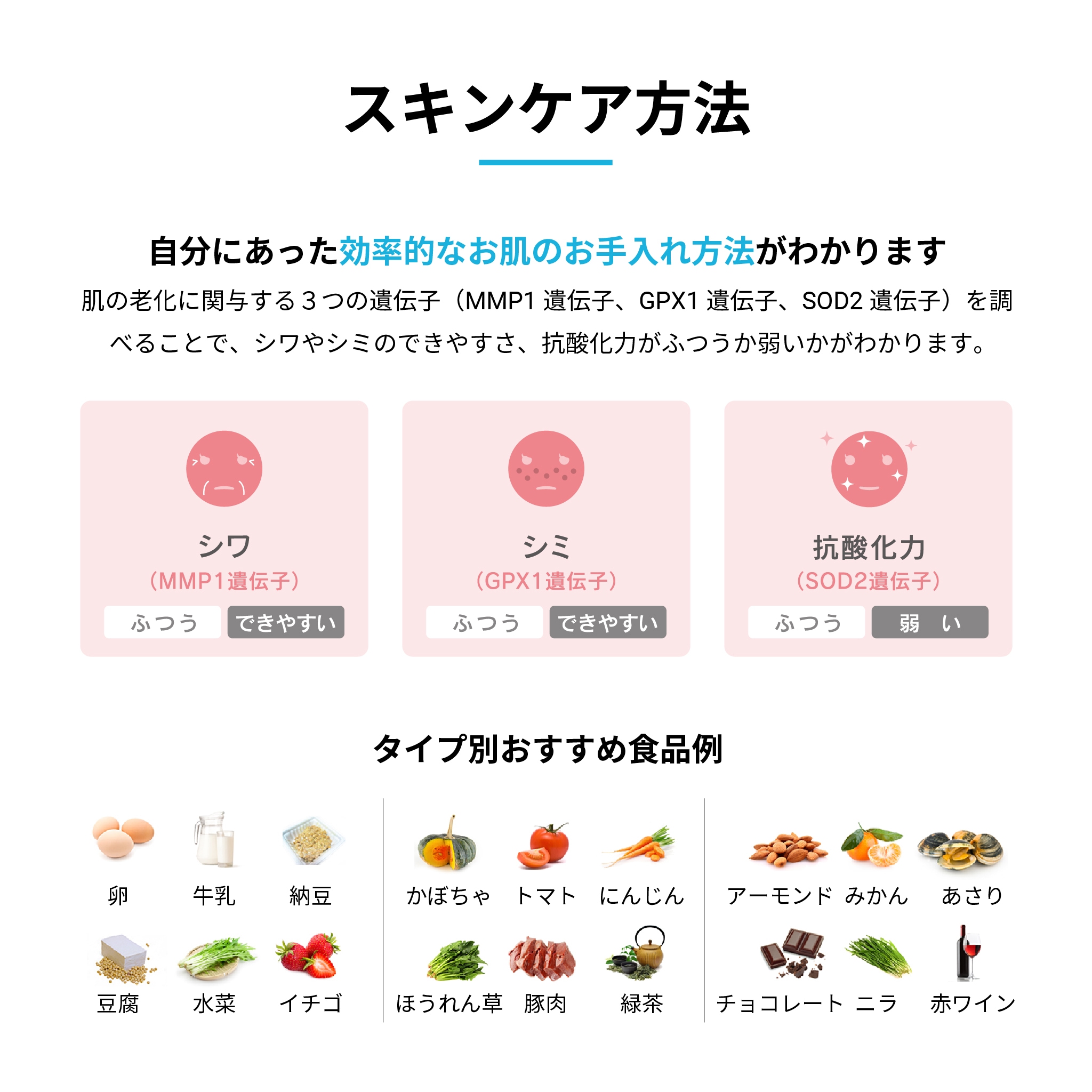 Amazon | 総合遺伝子検査キット GeneLife Genesis2.0 Plus [保護