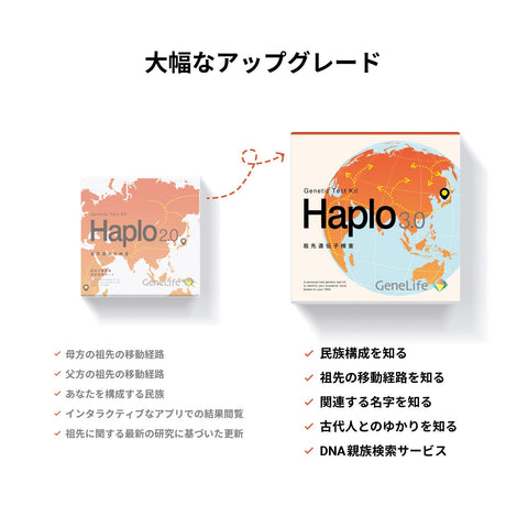 祖先 遺伝子検査キット Haplo3.0 NTT社員様特別販売