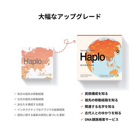 祖先 遺伝子検査キット Haplo3.0