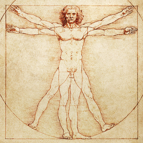 レオナルド・ダ・ヴィンチが描いた人体図